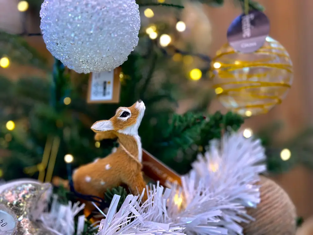 christmas-decorations-gardentime-dartmouth